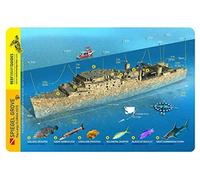 Spiegel Grove Wreck Key Largo Florida Waterproof Dive Card