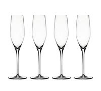 Spiegelau Authentis Champange glass 19cl. 4-pack clear