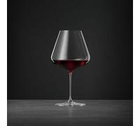 Spiegelau Definition Set Of 4 Burgundy Glasses