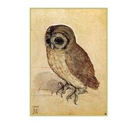 Spiffing Prints Albrecht Durer - The Little Owl - Medium - Semi Gloss - Unframed Art Print Poster