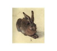Spiffing Prints Albrecht Durer - Young Hare - Small - Semi Gloss - Unframed Art Print Poster