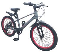 Spike 20 inch Wheel Size Kids Mountain Bike - Grey