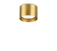 Spike Round Surface Mounted Downlight Brass Netlighting Yellow One Size