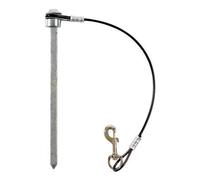 Spike with Cable Lanyard