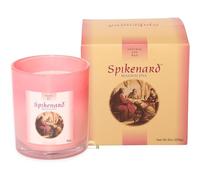 Spikenard Magdalena Scented Classic Candle Jar-Biblical Times Moisturizing Therapeutic Aroma,Single Wick Soy Candle-8oz