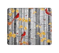 Spill-Resistant Mouse Pad, Birch Tree Shadow Bird Leaves Mouse Mat Modern Keyboard Pad 25X30cm for Home Work Office