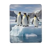 Spill-Resistant Mouse Pad, Penguins On The Iceberg, Comfortable Mousepads, Desk Pad, 25X30cm, Studying, PC, Game