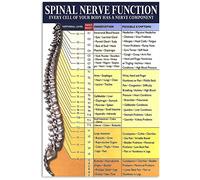 Spinal Nerve Function Metal Signs Vintage Office Decor Chiropractor Knowledge Tin Poster Home Hospital Wall Decoration Plaque 8x6 Inches