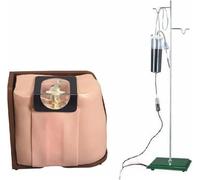 Spinal Puncture Model, Adult Spine Puncture Training Model, Spinal and Epidural Anesthesia Clinical Training Model, for School Nursing Learning, Instruction, Study and Display.