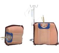 Spinal Puncture Model, Lumbar Puncture Simulator, Adult Lumbar Puncture Simulator for Spinal and Epidural Anesthesia Clinical Training Model