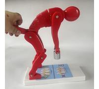 Spine Force Model for Medical Science Education and Anatomy Demonstration