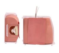 Spine Puncture Training Model Lumbar Puncture Simulator Spinal and Epidural Anesthesia Clinical Training