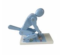 Spine with back alignment hands-on learning tool lifting form visual model posture correction device suitable for employee training group classes sports instruction, Light Blue