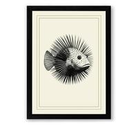 Spined Organism Botanical Framed Wall Art Print A2 (59.4×42cm) Black, Wall Decor for Living Room, Bedroom, Office & Home, Ready to Hang, Art Gift