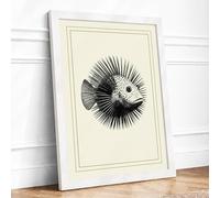 Spined Organism Botanical Framed Wall Art Print A2 (59.4×42cm) White, Wall Decor for Living Room, Bedroom, Office & Home, Ready to Hang, Art Gift