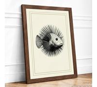 Spined Organism Botanical Framed Wall Art Print A3 (42×29.7cm) Walnut, Wall Decor for Living Room, Bedroom, Office & Home, Ready to Hang, Art Gift