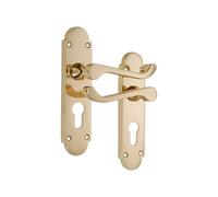 Spira Brass Oakley Lever On Backplate Euro Polished Brass