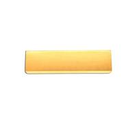 Spira Brass Tidy Flap 275 X 80mm Polished Brass