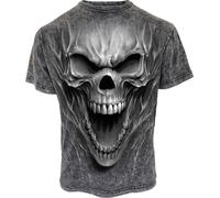 Spiral Beast within T-shirt grey M