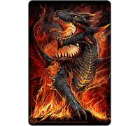 Spiral Direct Draconis Metal Card (One Size) (Black/Orange)