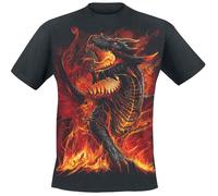 Spiral Draconis T-Shirt black 4XL