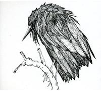 Spiral Joy Band - Little Sparrow