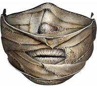 Spiral - Mummified - Premium Cotton Fashion Mask With Adjuster - L