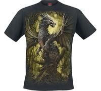 Spiral Oak Dragon T-Shirt black XL