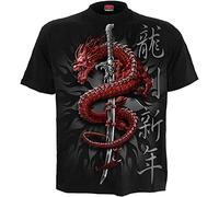 Spiral Oriental dragon T-Shirt black 4XL