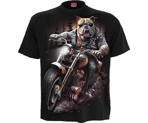 Spiral - Unisex - Short Sleeves - Medium - F500z