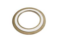 Spiral Wound Gasket 321SS with PTFE Filling - High-Performance Sealing for Extreme Environments(5Pcs 6'' DN150-600lb)
