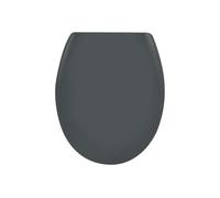 spirella Premium Oval Toilet Lid with Quick Release Function and Soft Close Mechanism Antibacterial Toilet Seat Made of Duroplast and Stainless Steel Removable Grey