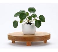 Spiretro 22.8 cm (9-Inch) Round Footed Acacia Wood Pedestal & Serving Stand | Kitchen Display | Plant Holder