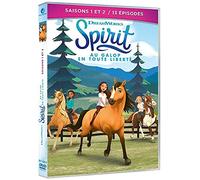 Spirit, au galop en toute liberté - Saisons 1 et 2