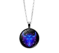Spirit Necklace Zodiac, Serene Manifestation Necklace, Zodiac Pendant Necklace, 12 Constellation Luminous Stone Couple Necklace, Gift Ideal For Horoscope Lovers., Stainless Steel, No Gemstone