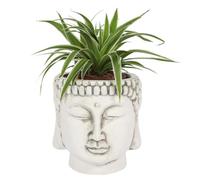 Spirit of Equinox Elegant White Terracotta Buddha Head Planter - 20cm x 20cm (1 Pc.) - Zen Vibes, Unique Eye-catching Design Home Decor - Perfect for Indoor Plants