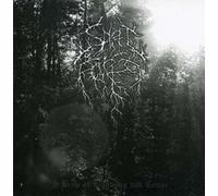 Spirit Of The Forest-A Brew Of Lighting And Terror - CD - P2222z