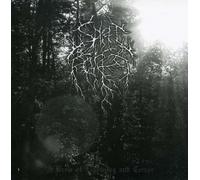 Spirit of the Forest - Brew of Lighting and Terror