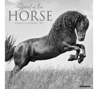 Spirit of the Horse 2027 Wall