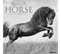 Spirit of the Horse 2027 Wall