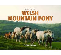 Spirit of the Welsh Mountain Pony