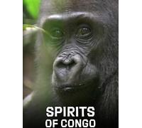 Spirits of the Congo