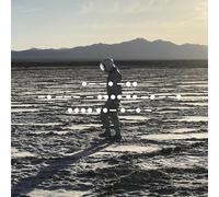 SPIRITUALIZED - And Nothing Hurt