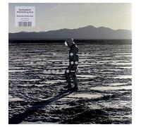 Spiritualized - And Nothing Hurt [VINYL]