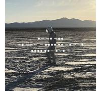 Spiritualized - Nothing Hurt (Orange Vinyl Deluxe Edition) [VINYL]