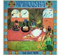 Spirogyra - Old Boot Wine