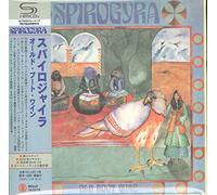 Spirogyra - Old Boot Wine
