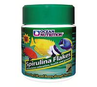 OCEAN NUTRITION (SALT CREEK) Ocean Nutrition Spirulina Flake 2.5oz