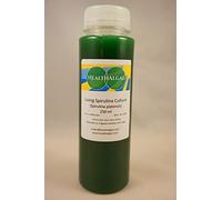 Spirulina platensis Living Culture (250 ml) - Live Algae - Start Culture - Grow Spirulina at Home, Swedish Grown, with Spirulina Grow Manual, Kombucha (250)