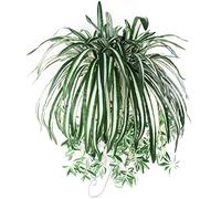 SpirWoRchlan 1Pc Chlorophytum Comosum Faux Greenery Home Garden Artificial Silk Spider Plant